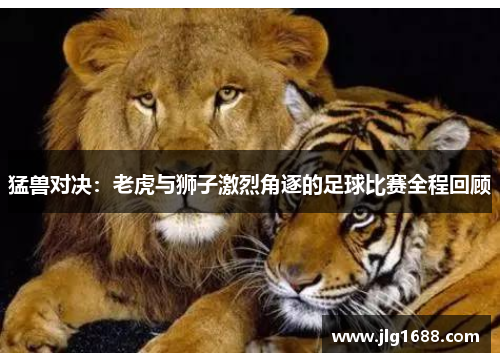 猛兽对决：老虎与狮子激烈角逐的足球比赛全程回顾